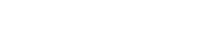 Nanodefence Pro Logo